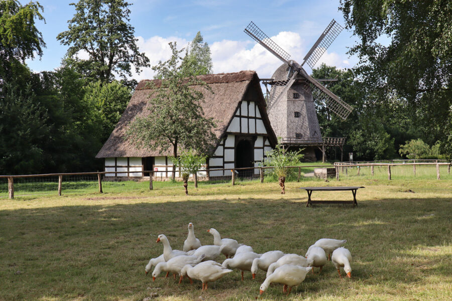 Museumsdorf Cloppenburg - Heuerhaus und Kappenwindmühle