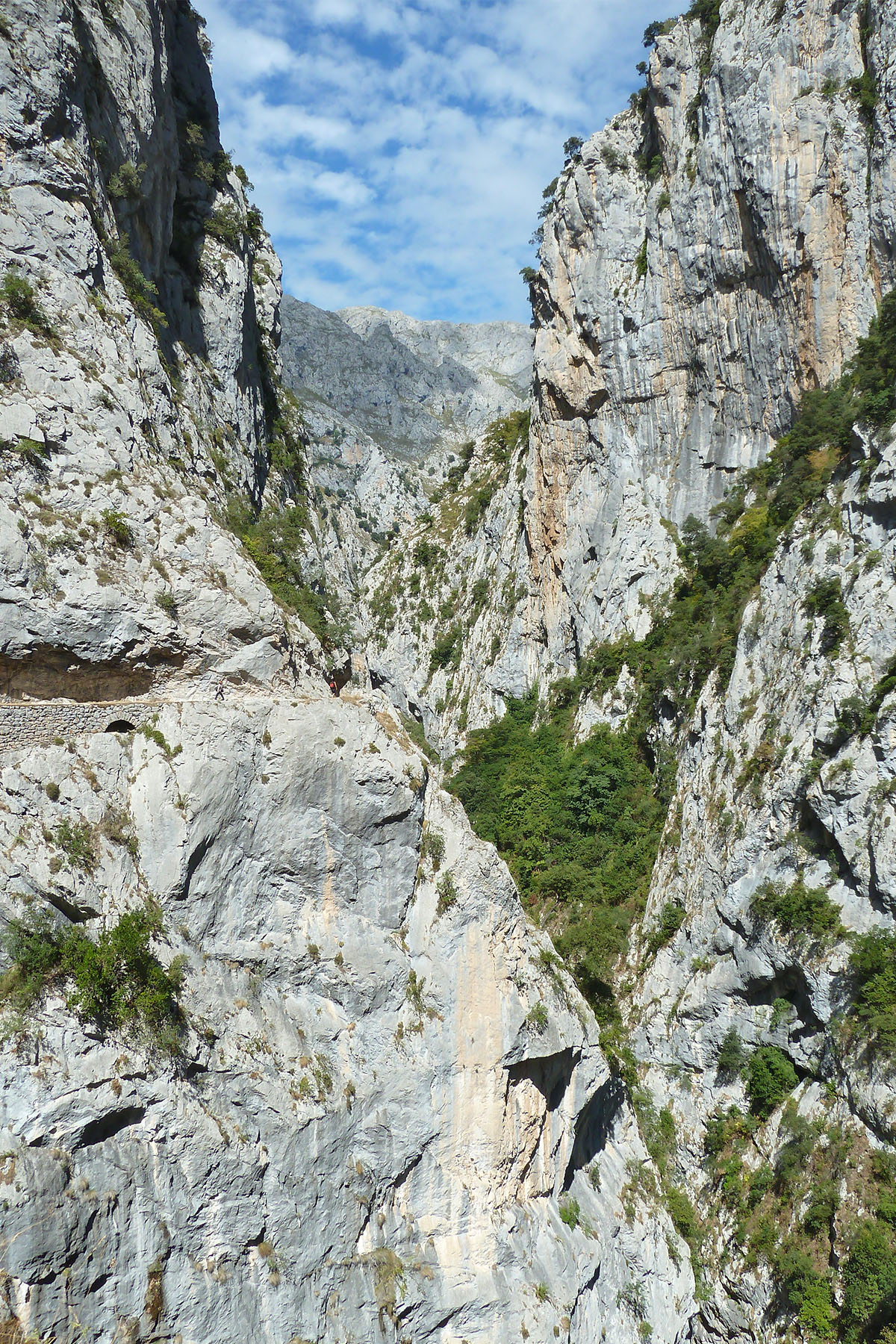 Picos de Europa - Ruta del Cares