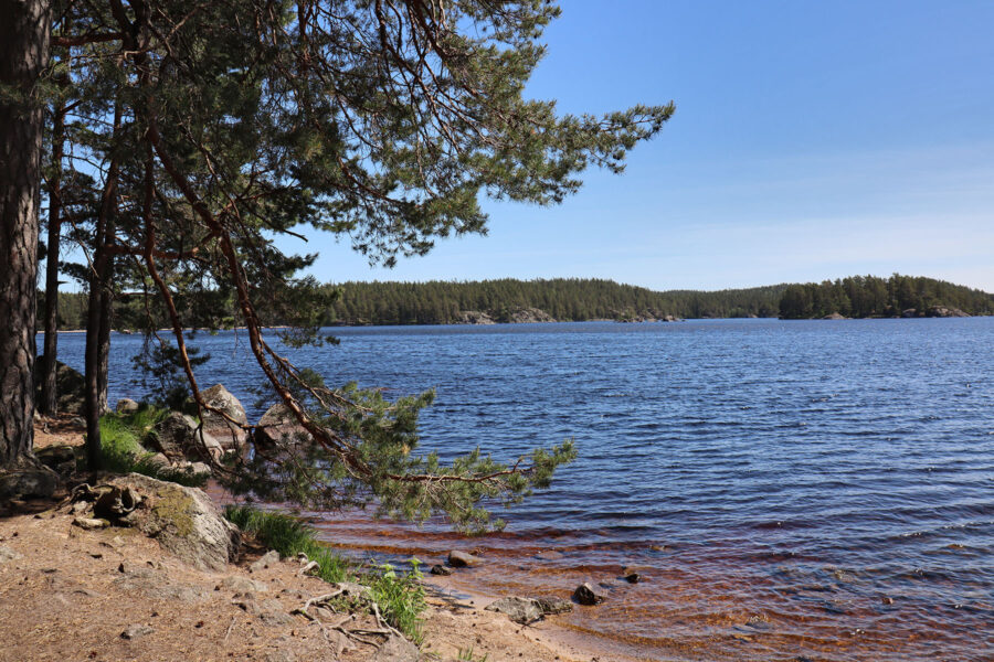 Tiveden - Stora Trehörningen