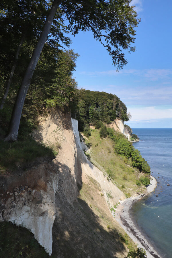 Rügen - Kreidefelsen