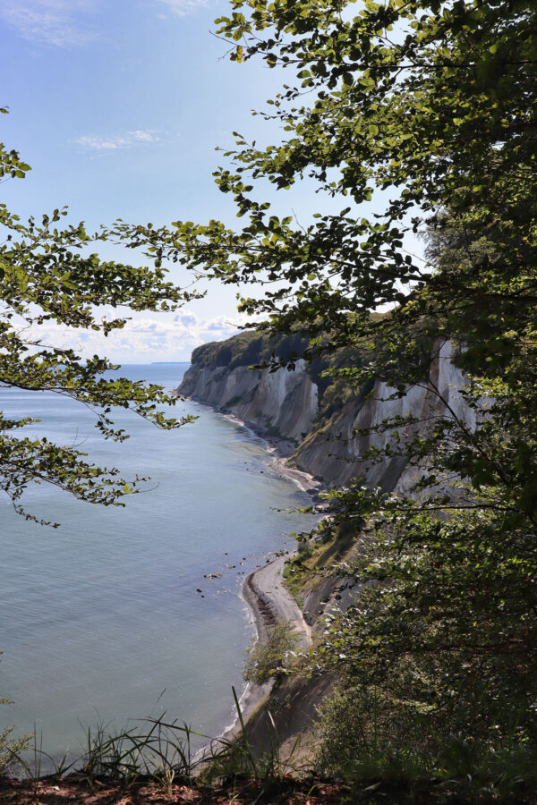 Rügen - Kreidefelsen