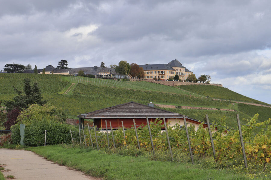 Rheingau - Weingut Schloss Johannisberg