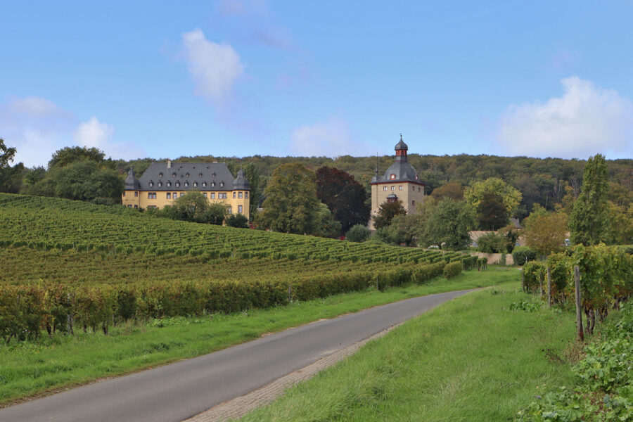 Rheingau - Weingut Schloss Vollrads
